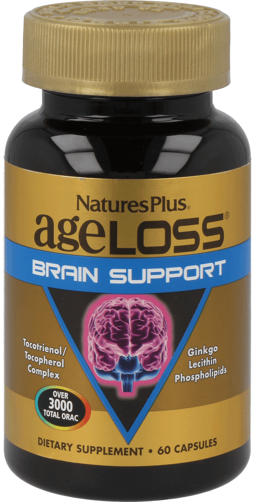 AgeLoss Brain Support 