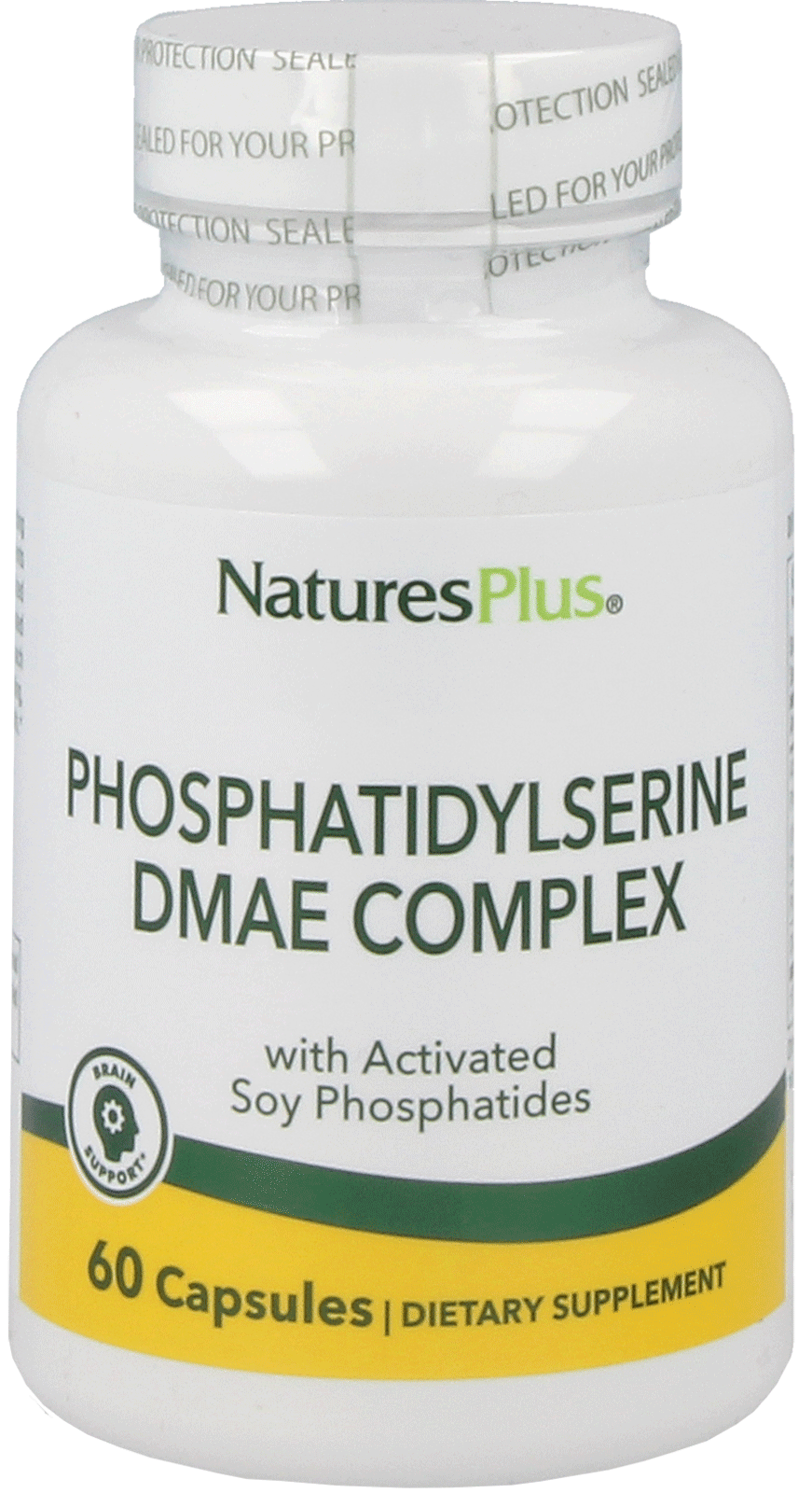 Phosphatidylserine/DMAE 