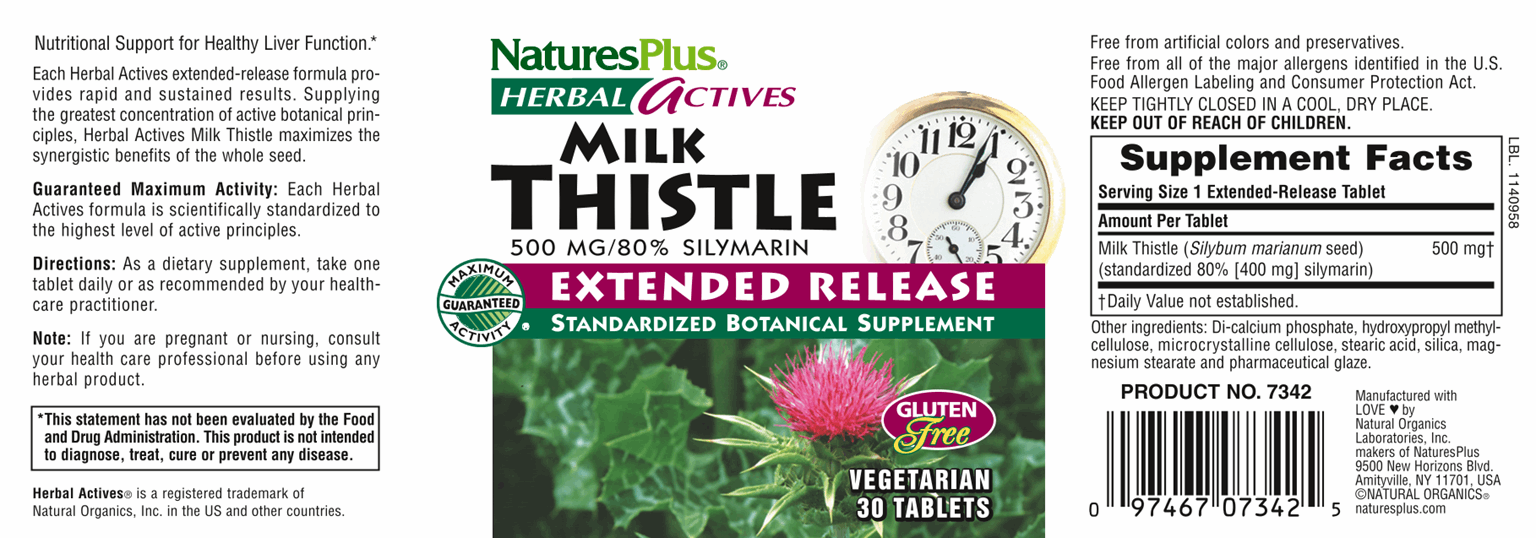 Milk Thistle 500mg 