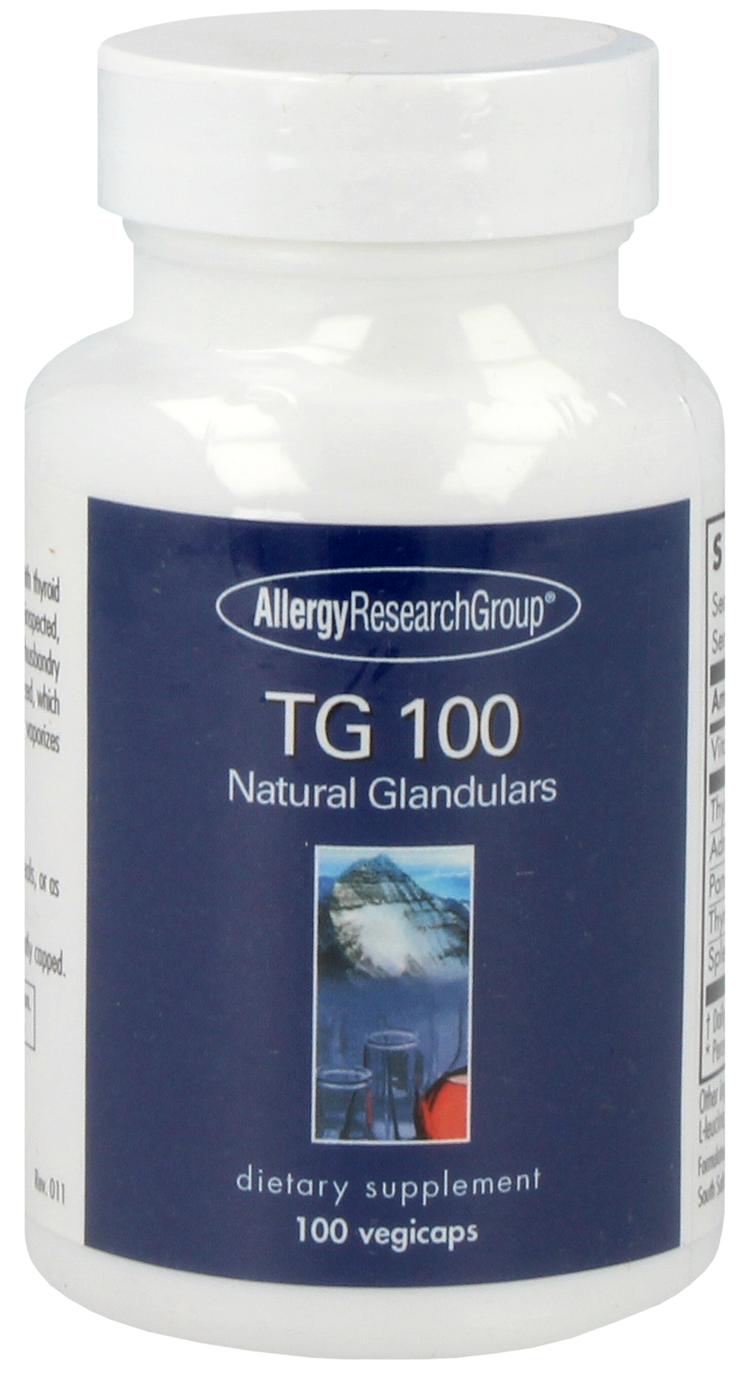 TG 100 