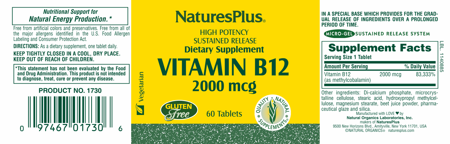 Vitamin B12 2000 mcg 