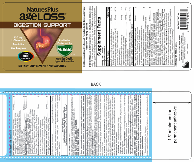 AgeLoss Digestion Support 