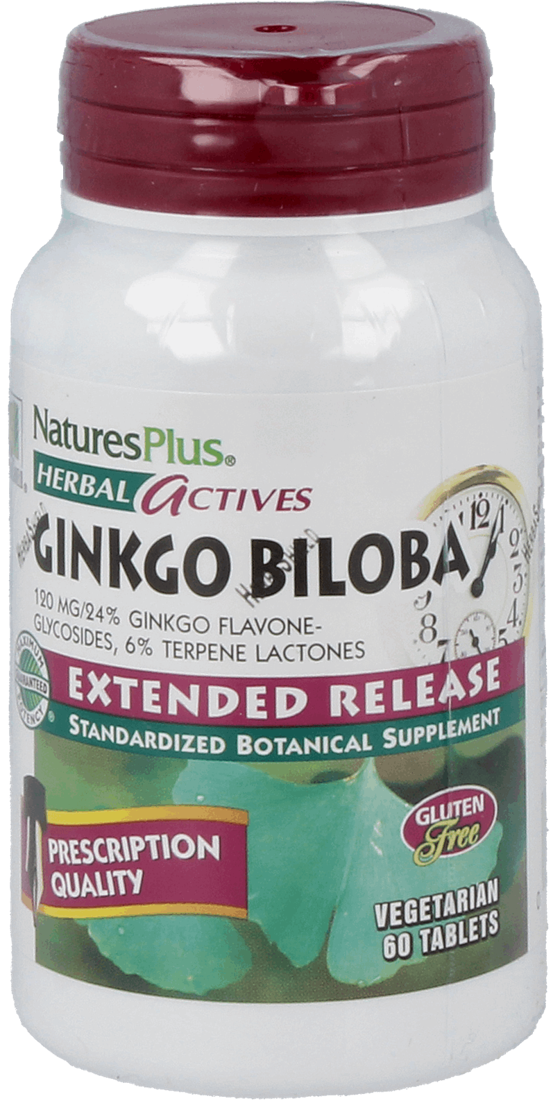 Ginkgo Biloba 120 mg 