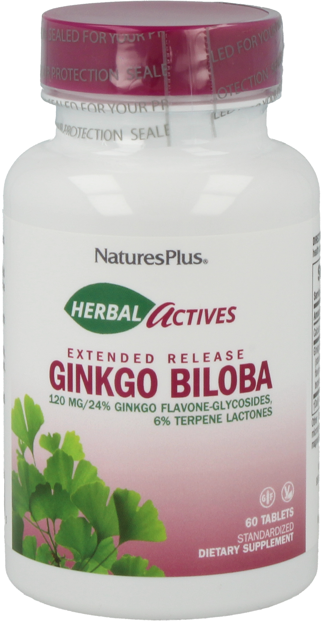 Ginkgo Biloba 120 mg 