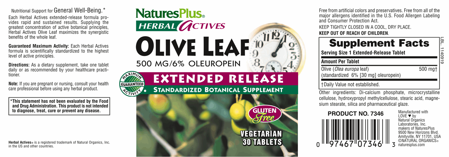 Olive Leaf 500 mg 