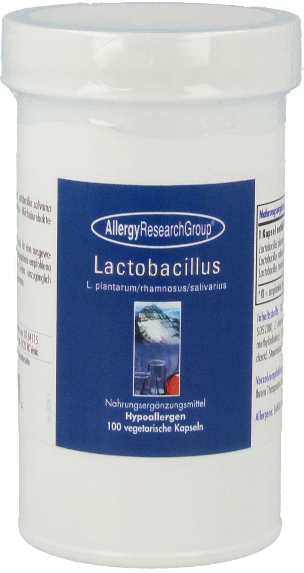 Lactobacillus 