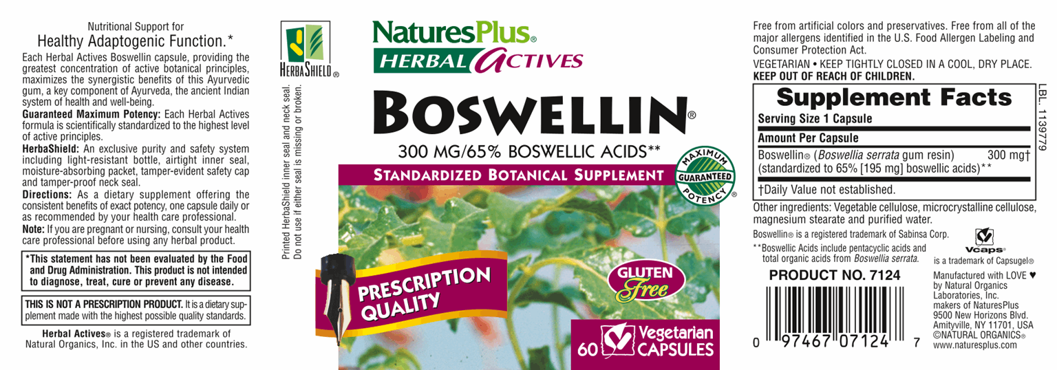 Boswellin® 300 mg 