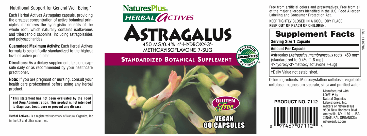 Astragalus 450 mg 