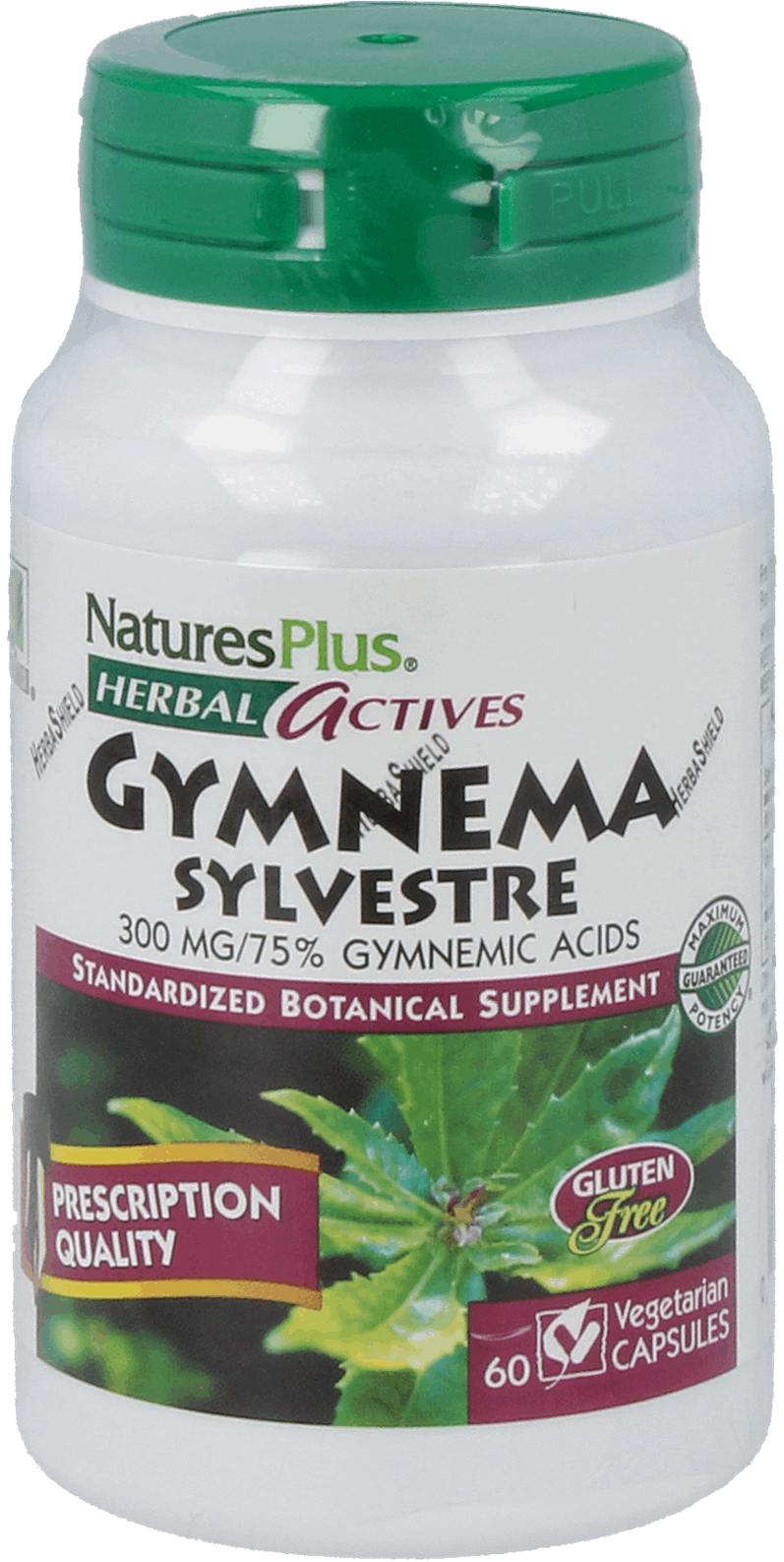 Gymnema Sylvestre 300 mg 