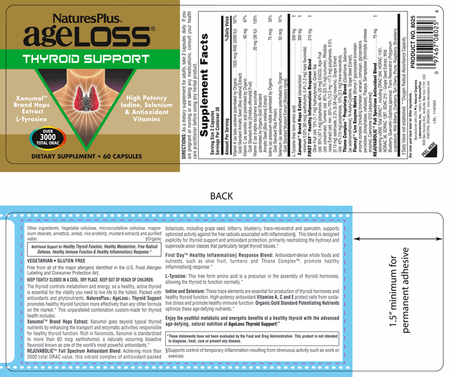 AgeLoss Thyroid Support 