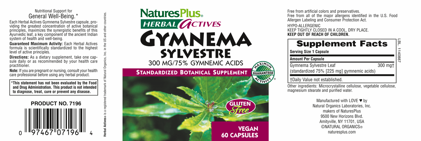 Gymnema Sylvestre 300 mg 