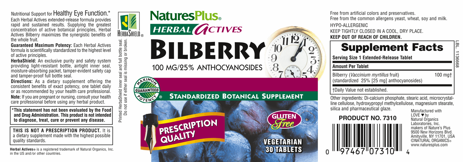 Bilberry 100 mg 