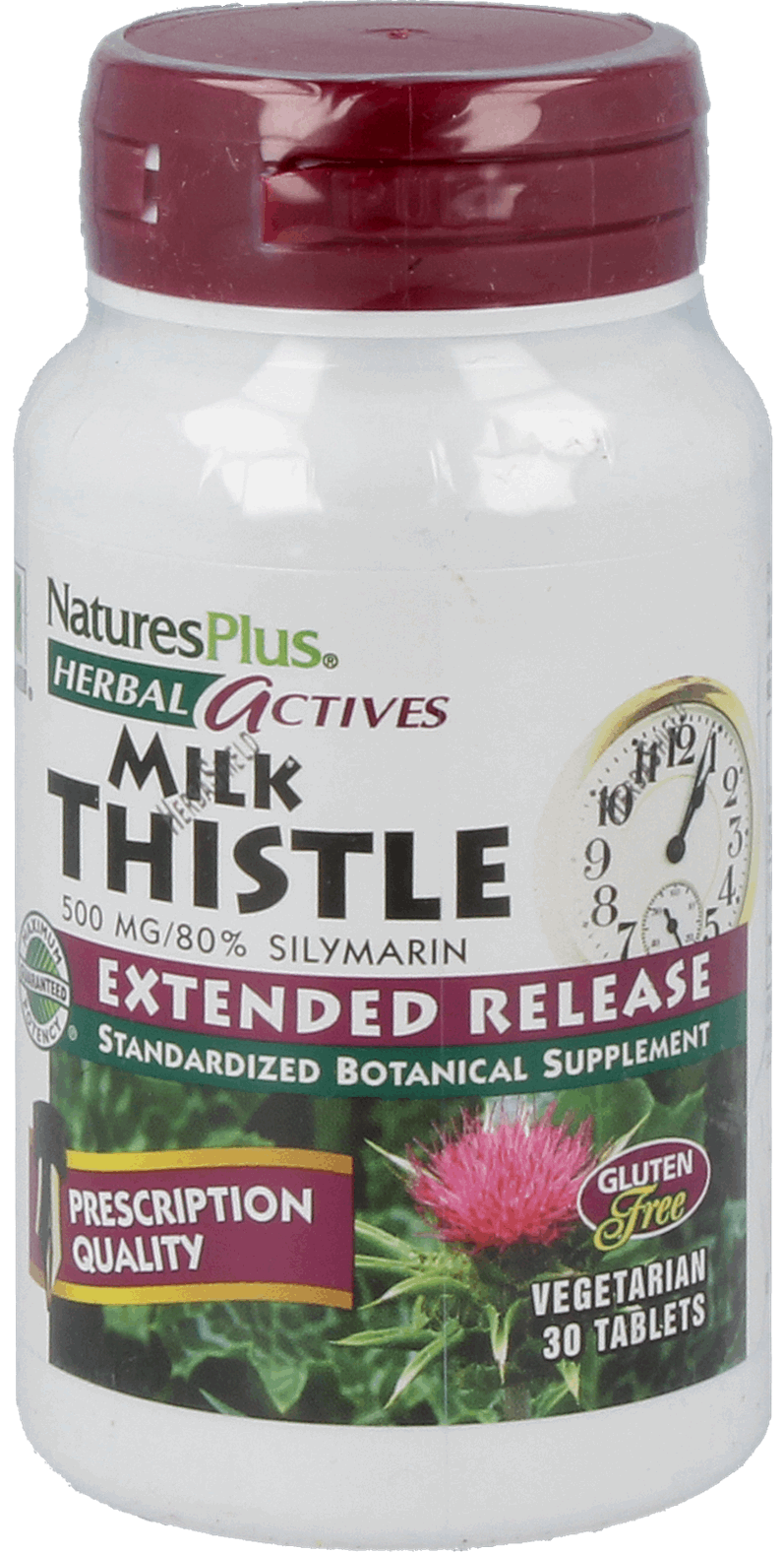 Milk Thistle 500mg 