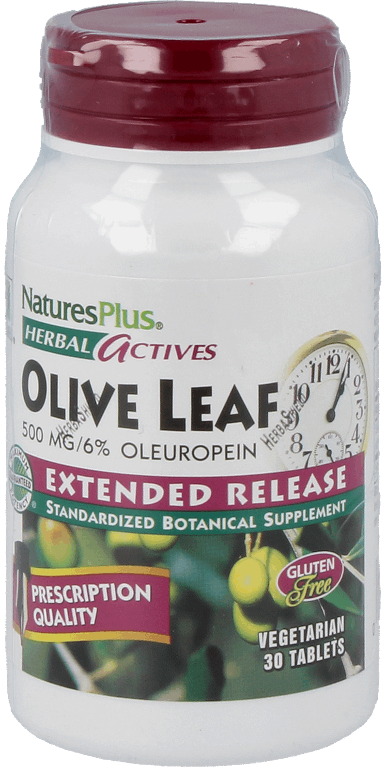 Olive Leaf 500 mg 